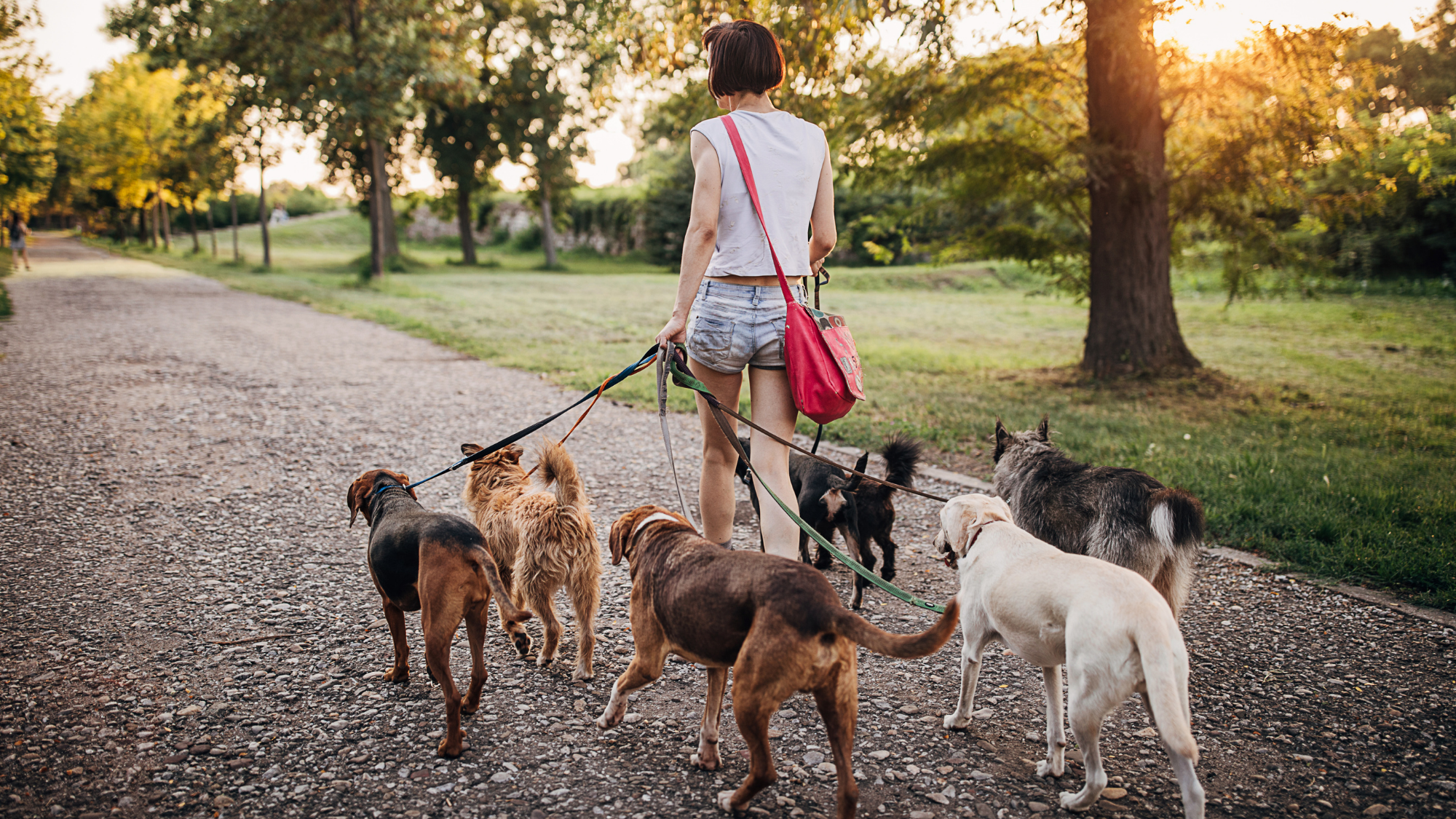 Side Hustles That Aren’t MLMs, Scams, or Soul-Crushers